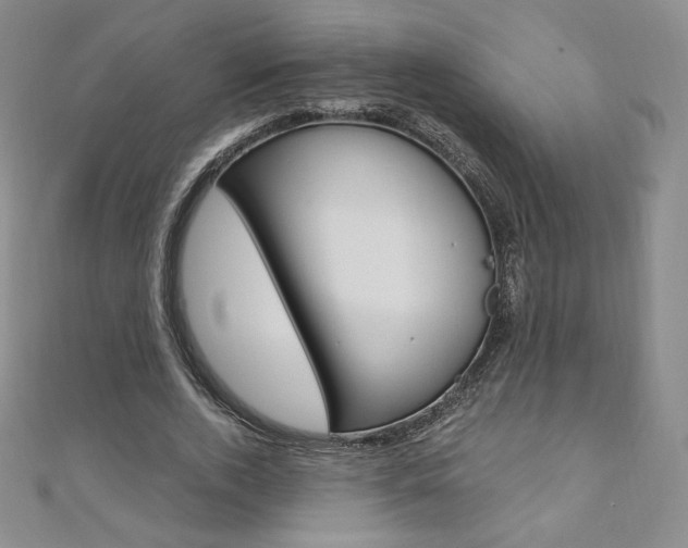 X0000110890728200906181005