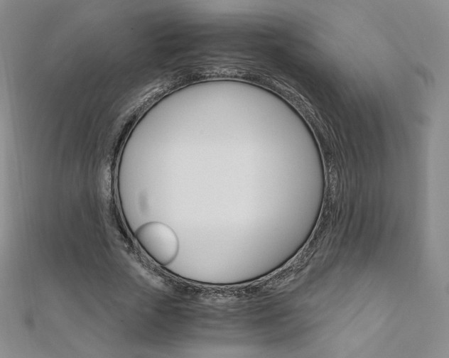 X0000110890729200906181005