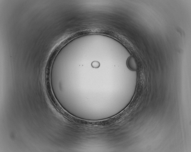 X0000110890730200906181005