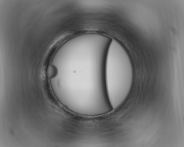 X0000110890731200906181005