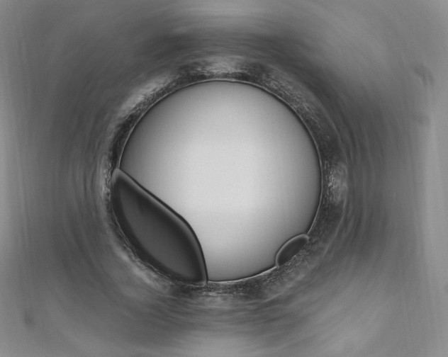 X0000110890732200906181005