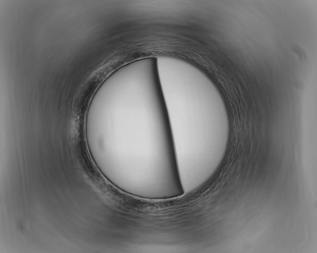 X0000110890735200906181006