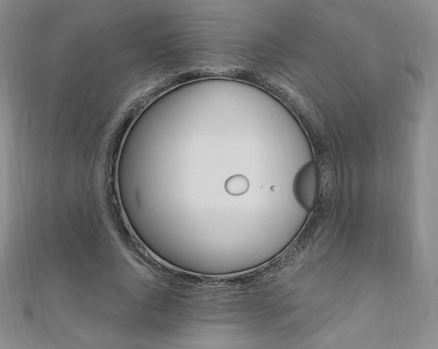 X0000110890736200906181006
