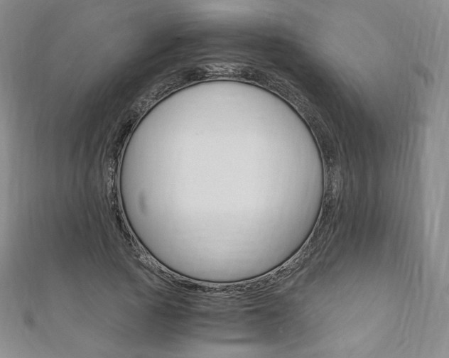 X0000110890737200906181006