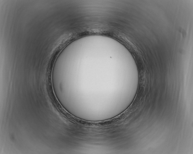 X0000110890738200906181006