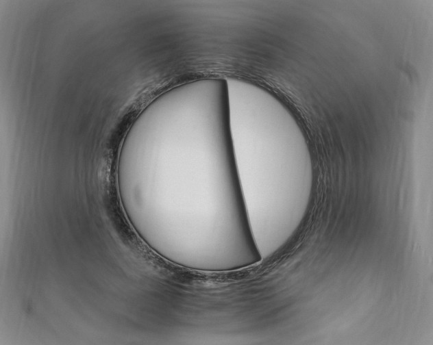 X0000110890739200906181006