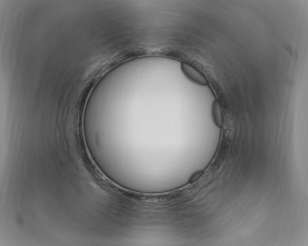 X0000110890740200906181006
