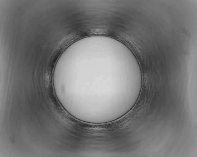 X0000110890741200906181006