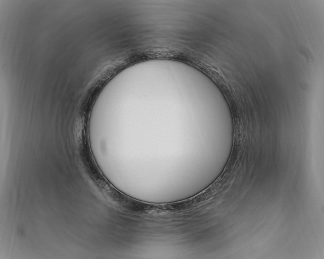 X0000110890742200906181006