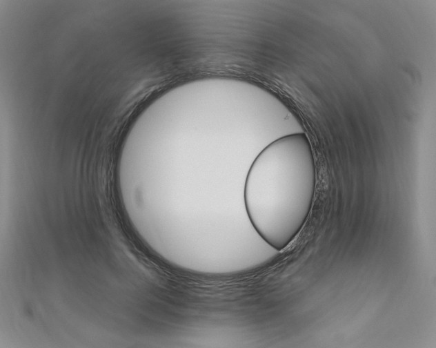 X0000110890744200906181006