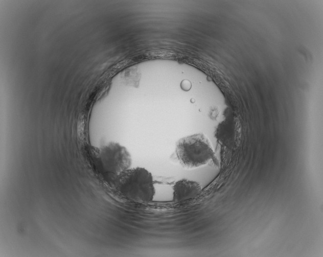 X0000110890745200906181006
