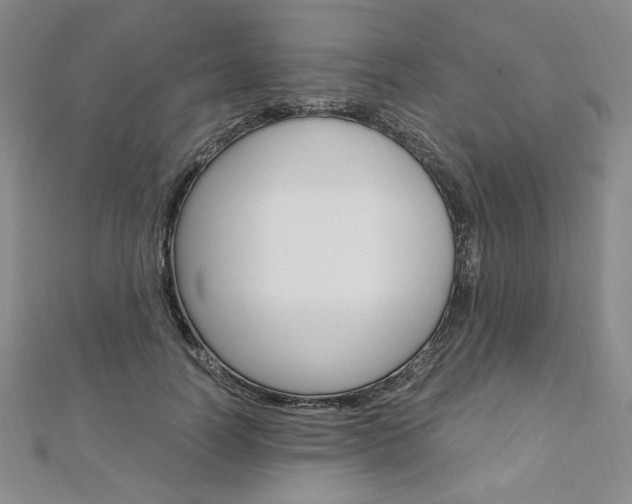 X0000110890746200906181006