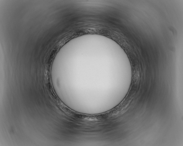X0000110890749200906181006