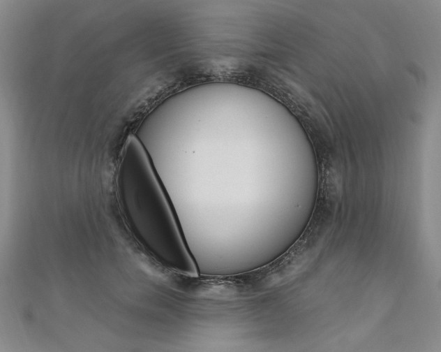 X0000110890750200906181006