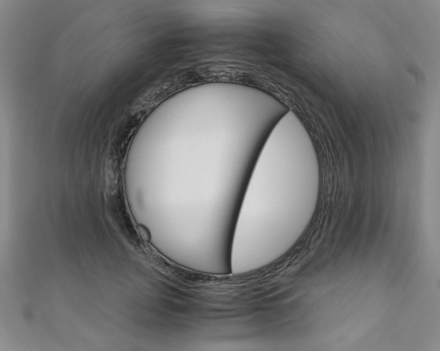 X0000110890751200906181006