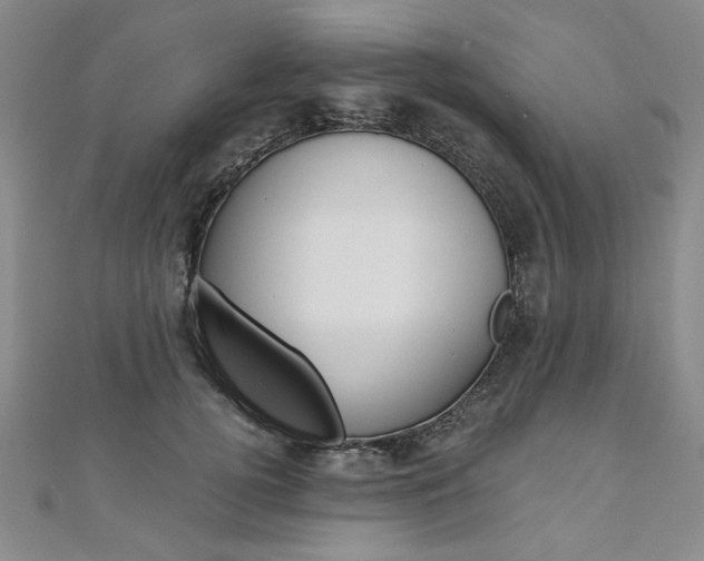 X0000110890752200906181006