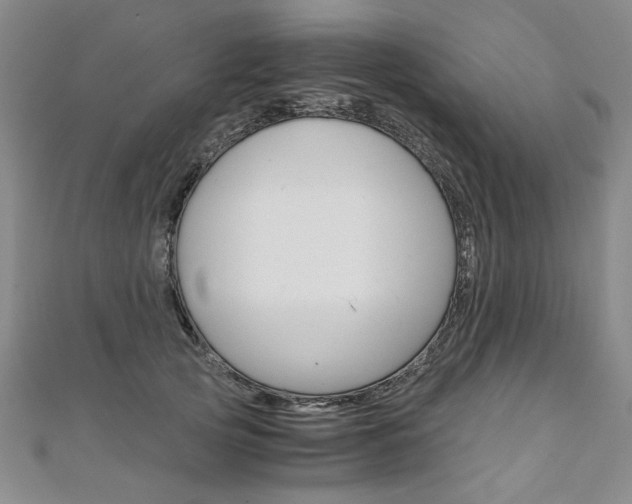 X0000110890753200906181006