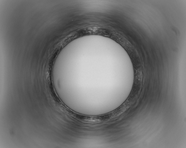 X0000110890754200906181006