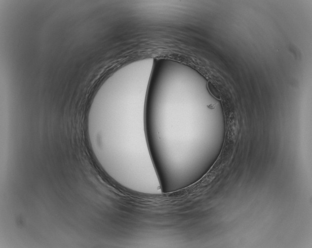 X0000110890756200906181006