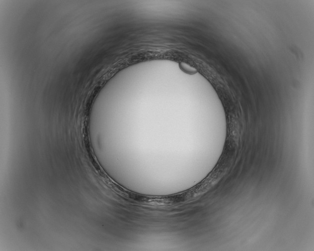 X0000110890758200906181006