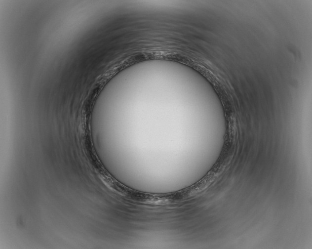 X0000110890760200906181006