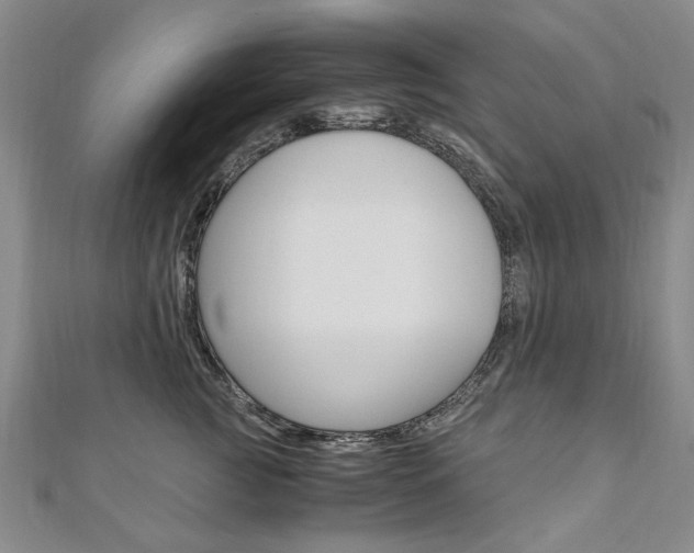 X0000110890761200906181006