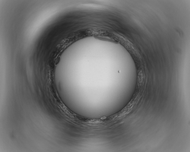 X0000110890762200906181006