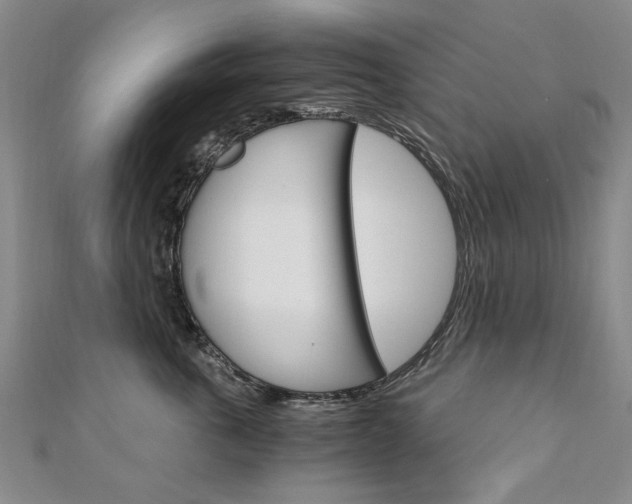 X0000110890763200906181006