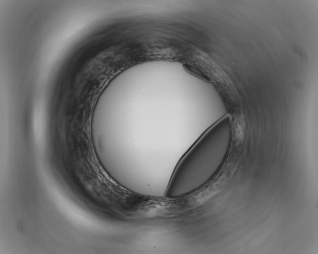X0000110890764200906181006