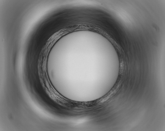 X0000110890765200906181006