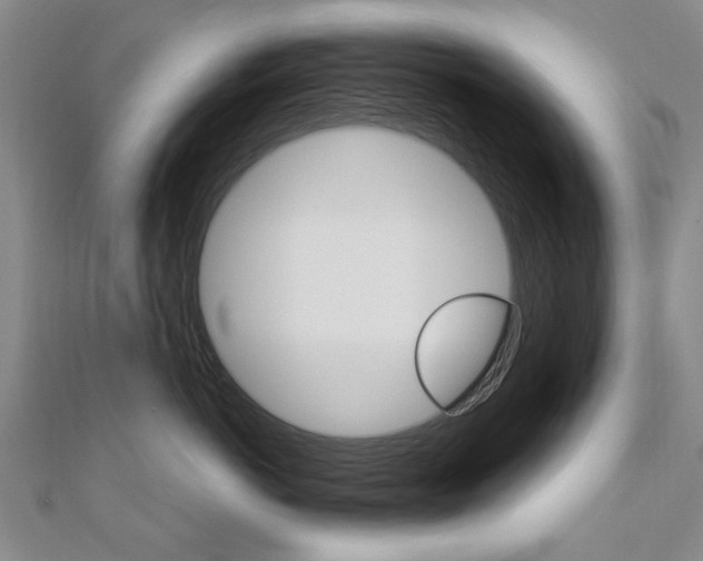 X0000110890766200906181006