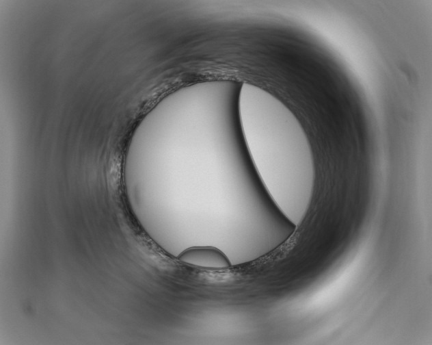 X0000110890767200906181006