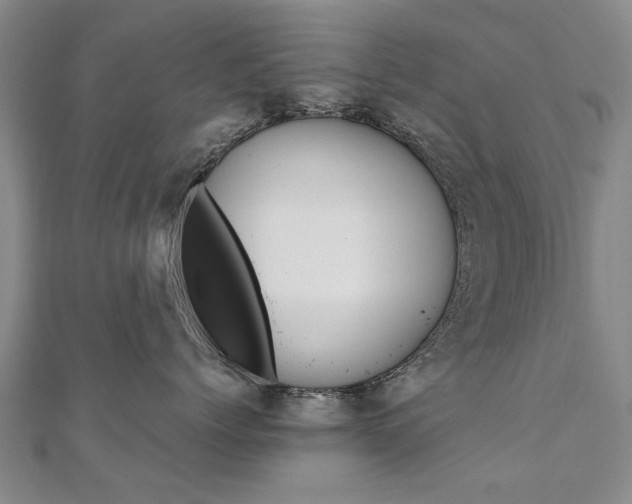 X0000110890768200906181006
