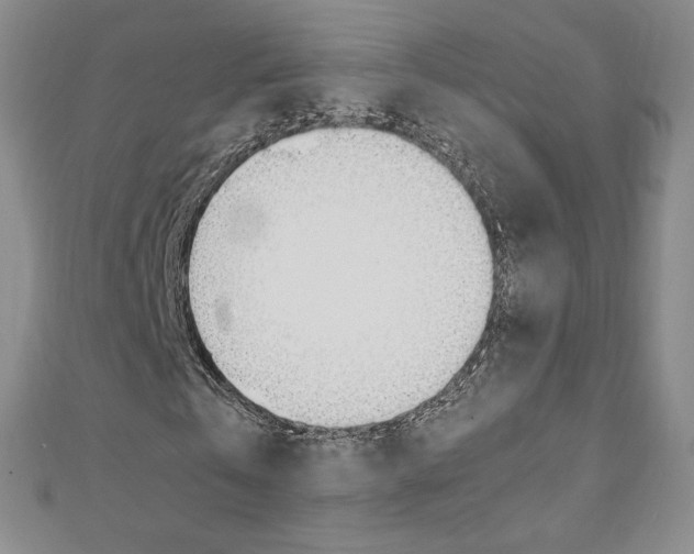 X0000110890769200906181005