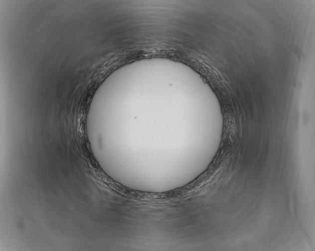 X0000110890770200906181005