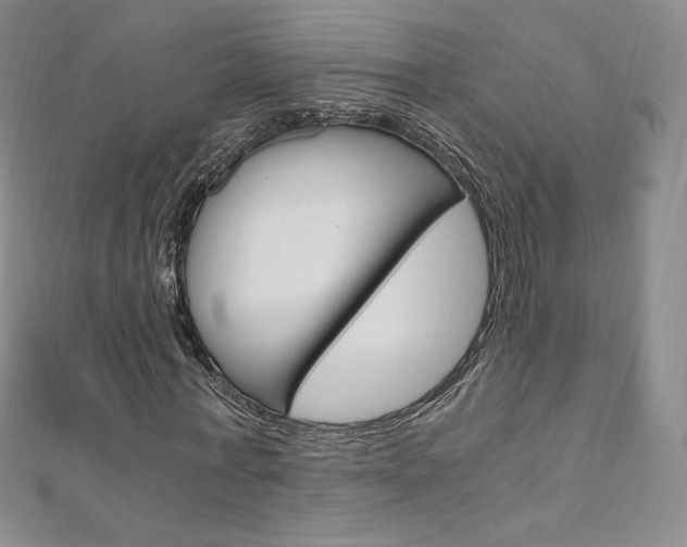 X0000110890771200906181005