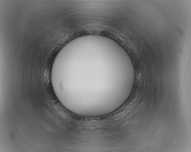 X0000110890772200906181005