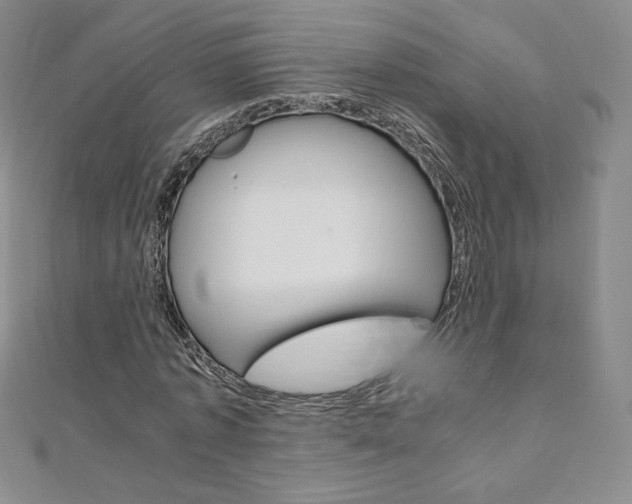 X0000110890773200906181005