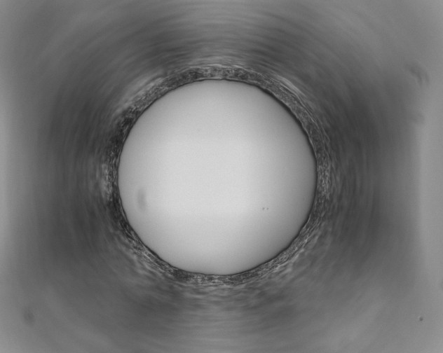 X0000110890774200906181005