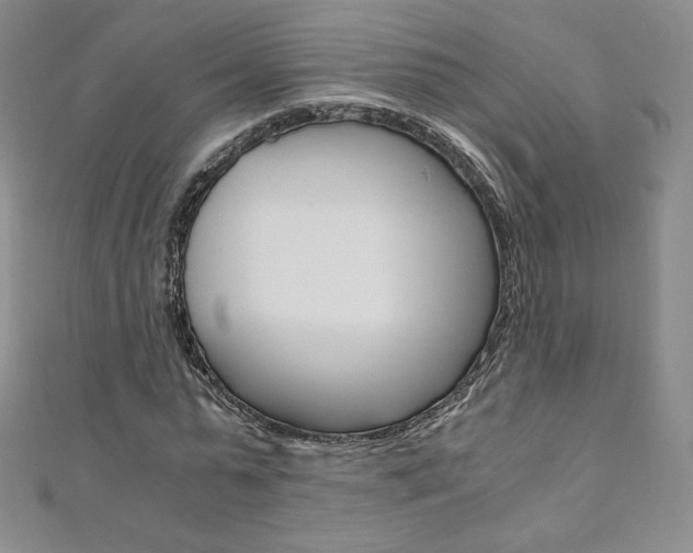 X0000110890775200906181005