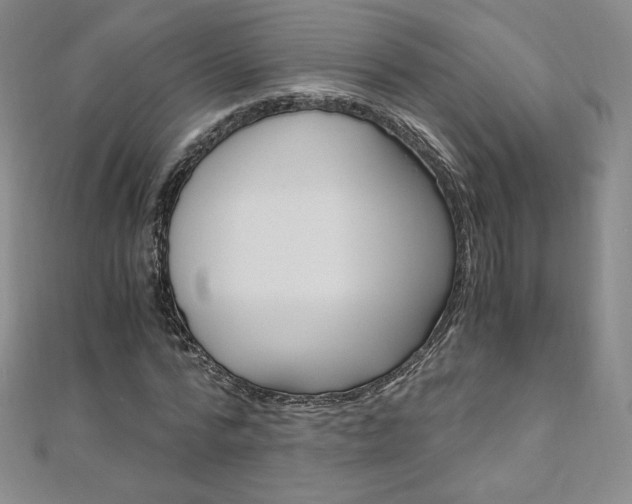 X0000110890776200906181005