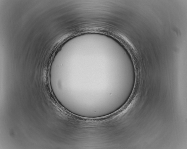 X0000110890777200906181005