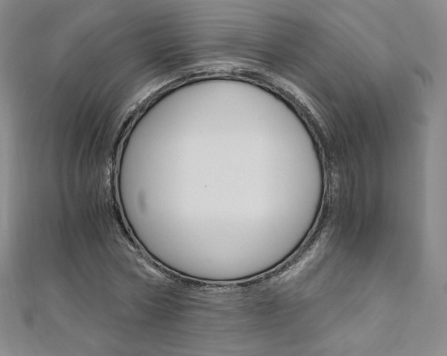 X0000110890778200906181005