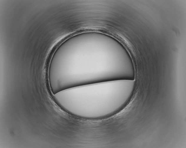 X0000110890779200906181005
