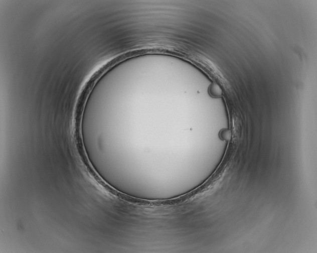 X0000110890780200906181005