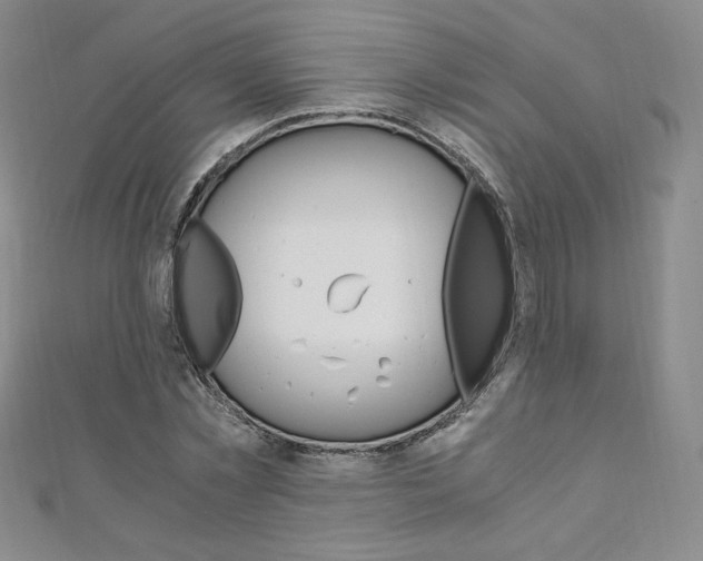 X0000110890781200906181005