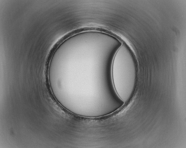 X0000110890783200906181005
