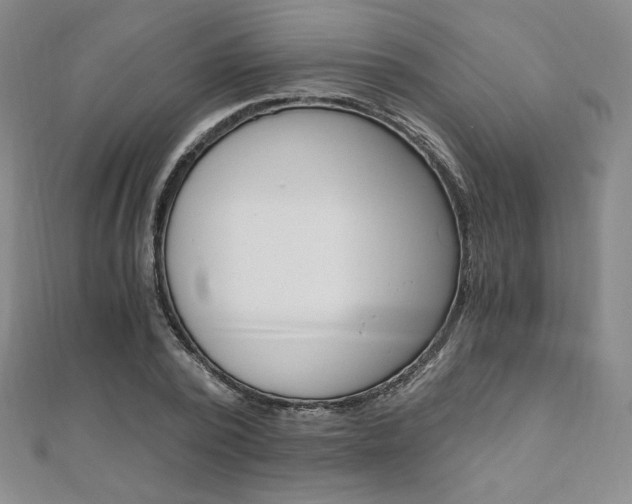 X0000110890784200906181005