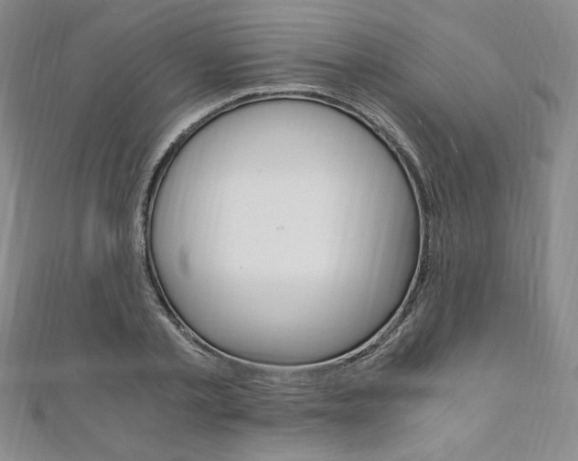 X0000110890789200906181005