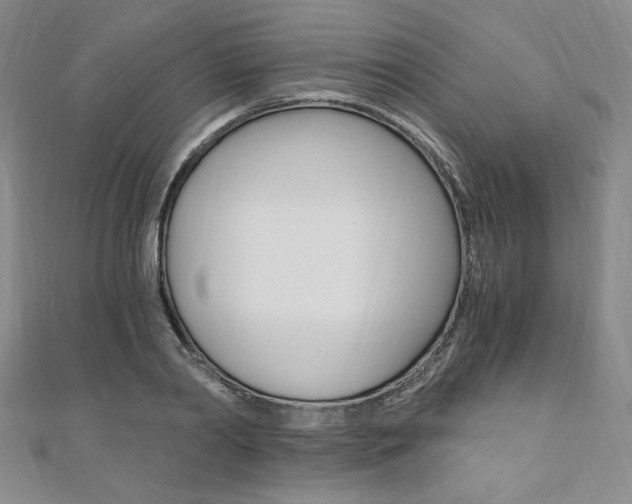 X0000110890790200906181005